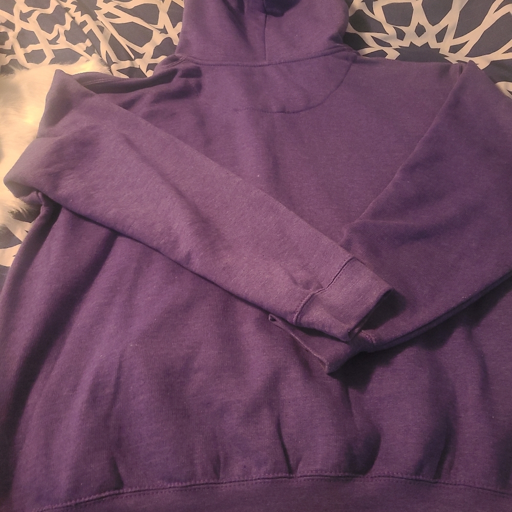 FINAL PRICE!! Hoodie - Picture 2 of 4